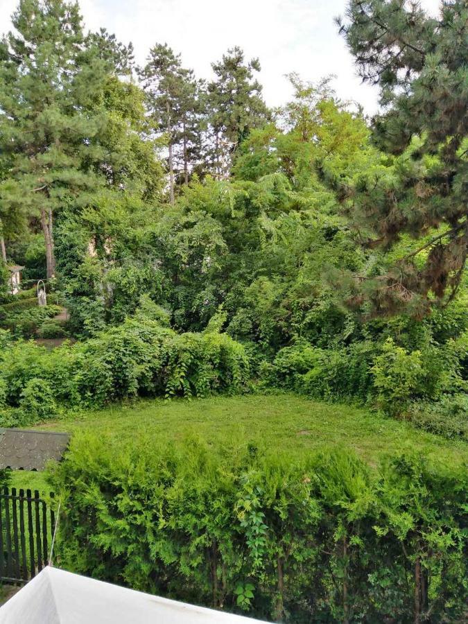 Vila Eden Palić المظهر الخارجي الصورة